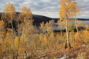 AUTUMN  AT NEW FORK LAKES - OCT. 10th, 2011