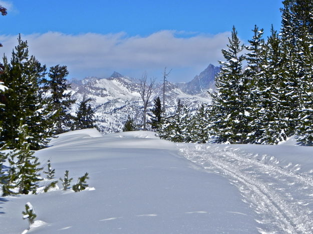 Nordic Skiing near Elkhart Park. Photo by Scott Almdale.