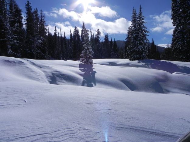Deep snow!. Photo by Scott Almdale.