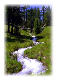 Mountain stream