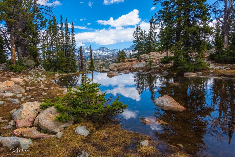 Pinedale Wyoming, Pinedale Online
