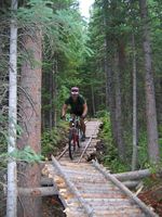 Mountain biking trails at White Pine Ski Area. White Pine courtesy photo