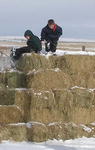 Kids on haystack